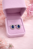 Aretes Lady D