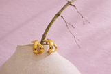 Aretes cruzados
