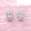 Aretes Lady D