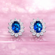 Aretes Lady D
