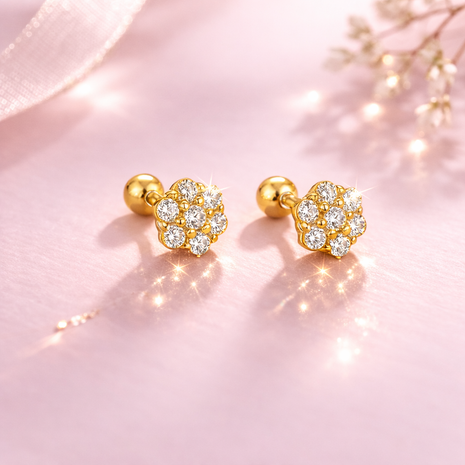 Ear climbers Brillo Nova