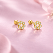 Ear climbers silueta
