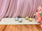 Aretes de acero inoxidable estrella
